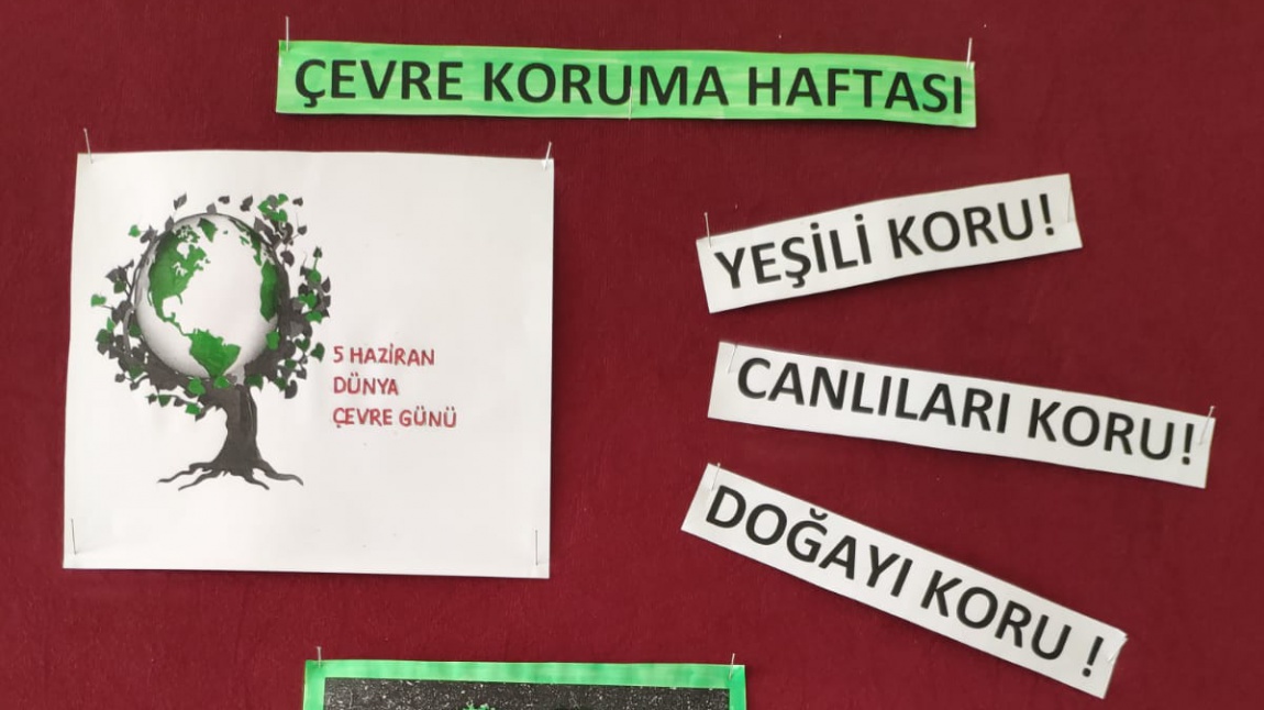 5-11 Haziran Çevre Koruma Haftası